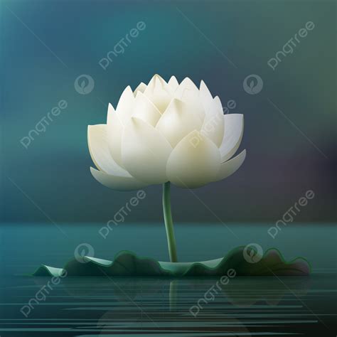 Vector White Lotus Flower Pad In Pond Isolated On Blur Background