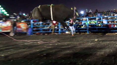 Jaripeo En Santa Ana Maya Michoacan De Febrero Las