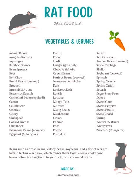 Safe Rat Food List: Veggies, Fruits, Nuts, Seeds, Herbs, Protein & More