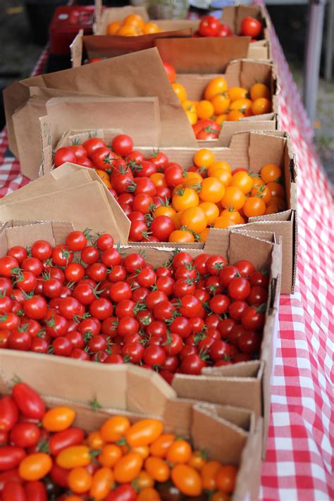 Dehydrated Cherry Tomatoes The Daily Dish