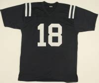 Archie Manning Signed Ole Miss Thowback Jersey (Radtke COA) | Pristine ...