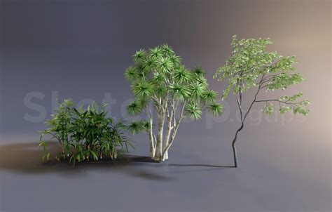 9362. Free Sketchup Tree Model Download - Sketchup Models For Free Download