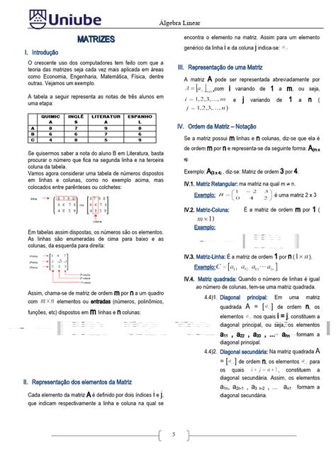 Matrizes E Determinantes Pdf Matriz Matemática Determinante