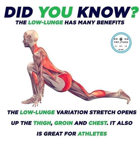 Low Lunge Benefits Yoga Benefits Yoga Anatomy Yoga Postures