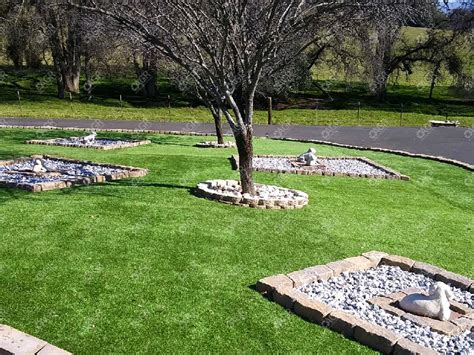 Check Out Our Turf Gallery | Artificial Grass Recyclers