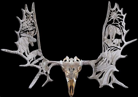 Gallery Antler Art Moose Skull Sculpture