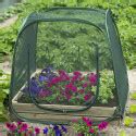 Serre Anti Insectes Pour Carre Potager En Polyester Et Acier Epoxy M