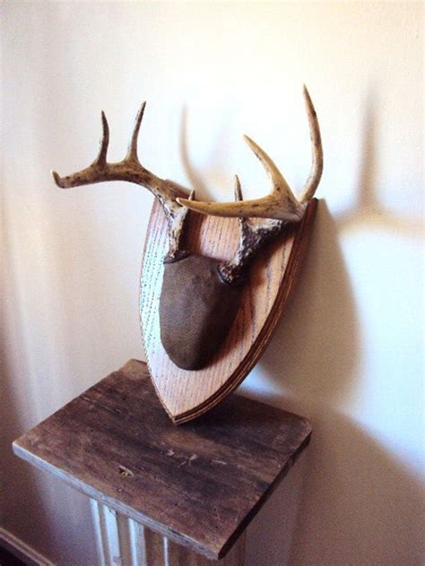 Vintage Deer Antler Mounting On Oak Wood Plaque