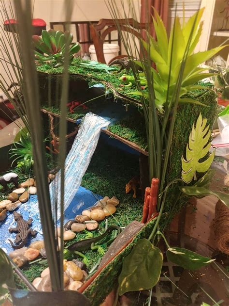 Rainforest diorama | Habitats projects, Rainforest project, Ecosystems ...