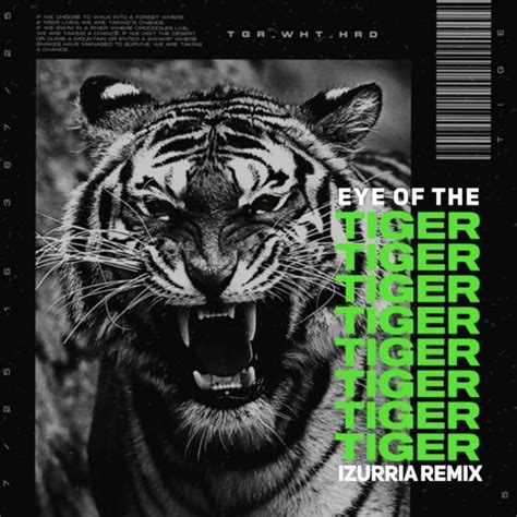 Stream Eye Of The Tiger [𝐈𝐙𝐔𝐑𝐑𝐈𝐀 Remix] By 𝐈𝐙𝐔𝐑𝐑𝐈𝐀 Listen Online For