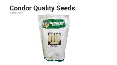 Condor Quality Seeds Waxy Corn Lagkitan Youtube