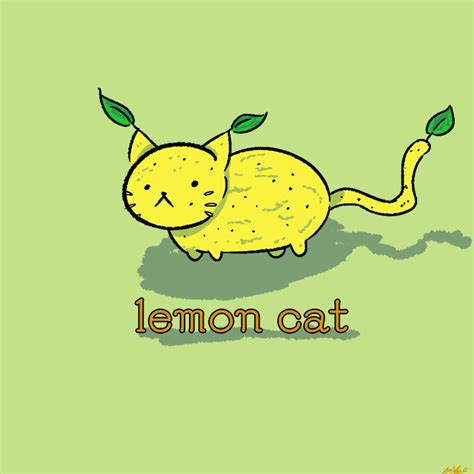 Lemon Cat Nollid Illustrations Art Street