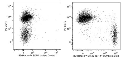 Bv Rat Anti Mouse Ter Erythroid Cells