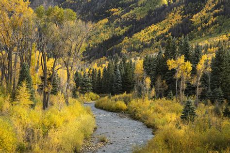 Colorado Fall Colors 2023 Trip Report - Van Os Photo Safaris