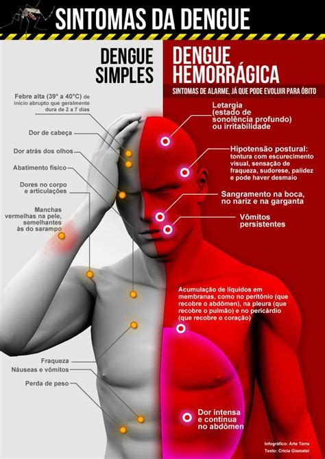A Febre Da Dengue Dura Quantos Dias - Quantos Dias Dura A Dengue at Eva Harpur blog