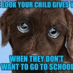 Puppy dog eyes Meme Generator - Imgflip