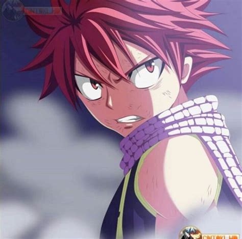 Natsu Anime Amino