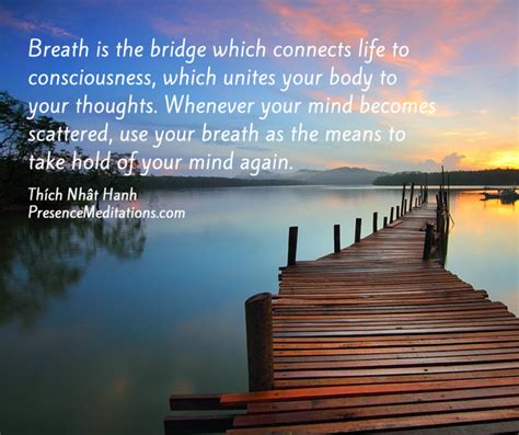 Breath Is The Bridge Which Connects Life To Consciousness Thequotegeeks