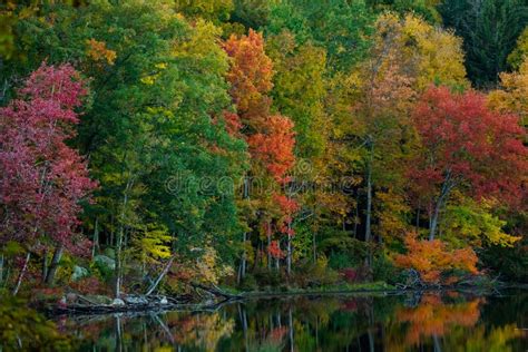 Colors of the Fall Season by the Lake Stock Photo - Image of stream ...