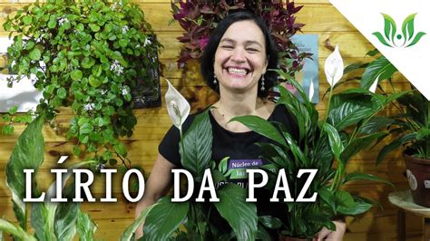 L Rio Da Paz Youtube