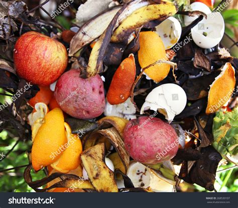 Compost Pile Backyard Garden Rotting Fruit Stock Photo 268530107 ...