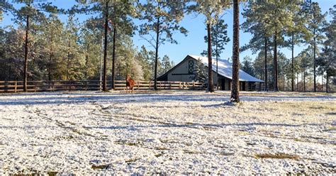 This Was Our Favorite Florida Sunday Snow Picture : NorthEscambia.com