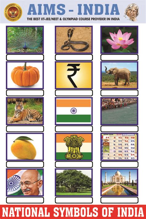 National Symbols Of India Aims India Worksheet India For Kids