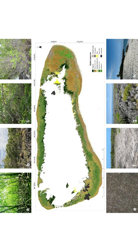 Terrestrial Habitat Map Of Aldabra Atoll Reference Year 2011 Photos