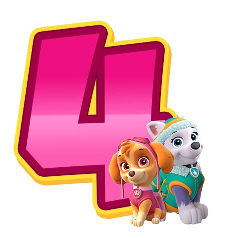 Numeros Patrulha Canina Rosa Origamiami