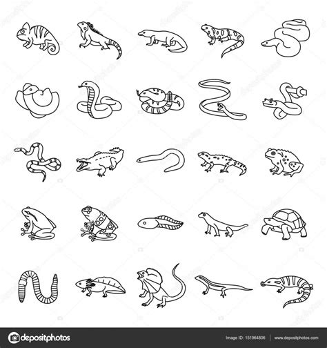 Reptiles Anfibios Esboza Iconos Vectoriales Vector Gr Fico Vectorial