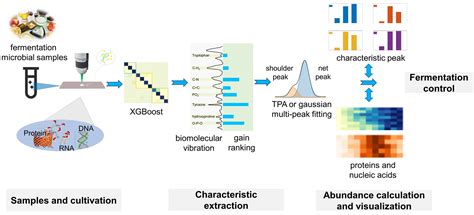 Molecules Free Full Text Non Invasive Detection Of Biomolecular