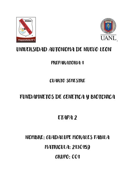 Gmf Ev Fgy B Apuntes De La Etapa De Fundamentos De La Gen Tica