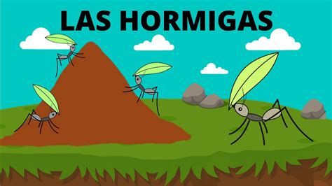 Las Hormigas Para NiÑos Todo Sobre Las Hormigas Las Hormigas En EspaÑol Youtube