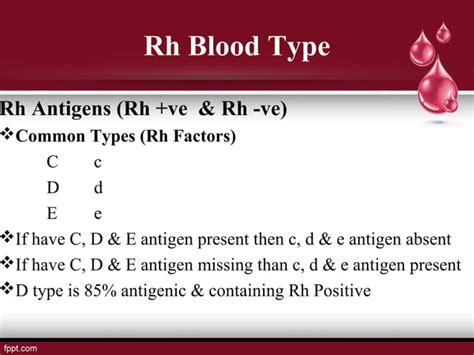 Blood Types Transfusion Organ Transplantation PPT