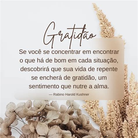 Dia Da Gratidão 50 Frases De Gratidão Pelo Dia De Hoje