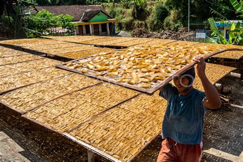 Produksi Kerupuk Kedelai Antara Foto