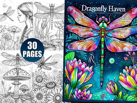 Dragonfly Haven Coloring Pages For Adults Insect Coloring Book For