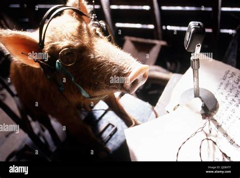 SQUEALER, ANIMAL FARM, 1999 Stock Photo - Alamy