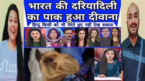 Pakistan Shocked As Hinduism Se Sikho Murkho Gujju Reaction Youtube