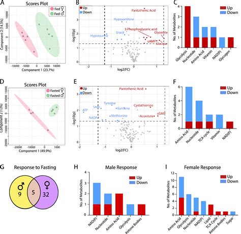 Tissue Specific Sex Difference In Mouse Eye And Brain Metabolome Under Fed And Fasted States