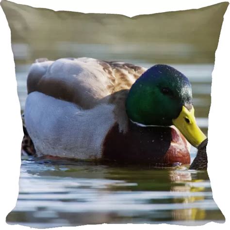 Pillow of Mallard Duck mating Bombay Hook National Wildlife