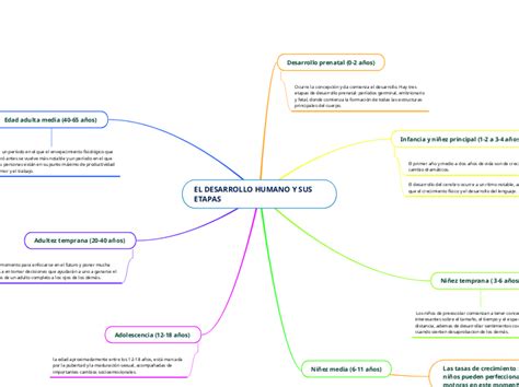 EL DESARROLLO HUMANO Y SUS ETAPAS Mapa Mental Mindomo