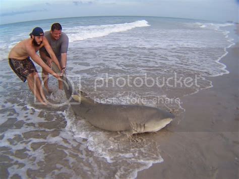 Shark Fishing in South Florida | FLORIDA SHARK FISHING