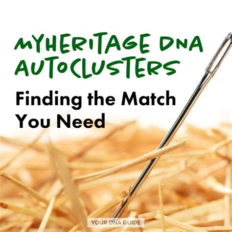 MyHeritage DNA AutoClusters Finding Your Matches Your DNA Guide