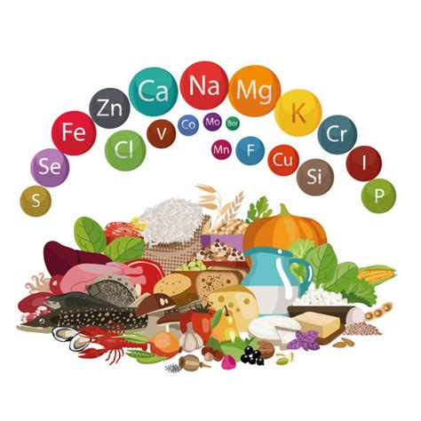 52400 Food Minerals Stock Illustrations Royalty Free Vector Graphics