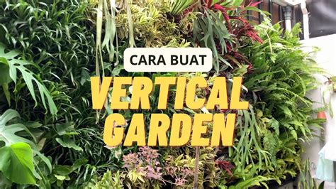 Cara Mudah Buat Vertical Garden Dengan Pot Dan Wiremesh Jasa Taman