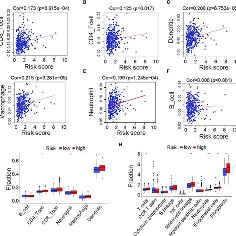 Infiltration Of Immune Cells Between Low And High Risk Groups In Tcga