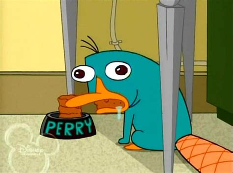 Perry El Ornitorrinco Enamorado Imagui