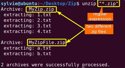 The Unzip Command In Linux Practical Examples