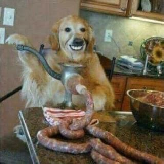 Sausage Dog Blank Template - Imgflip